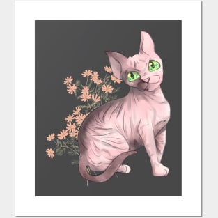 Cat Toon Sphynx Posters and Art